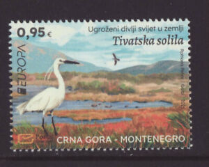 Montenegro 2021 MNH - EUROPA  Endangered Wildlife - set of 1 stamp