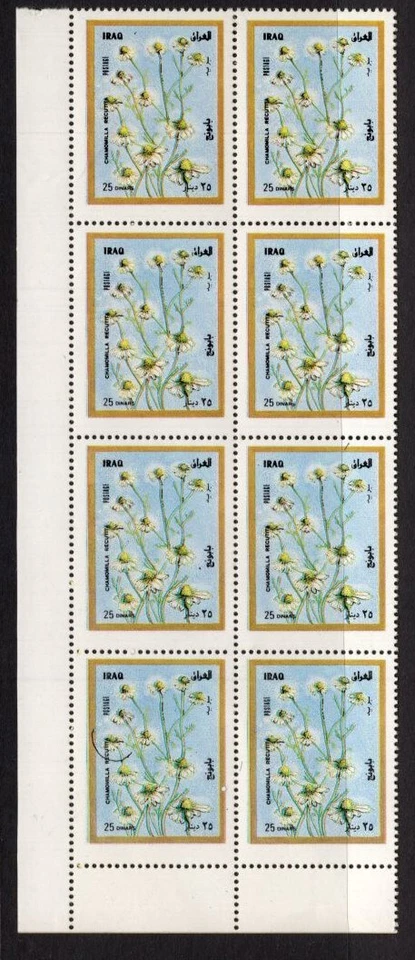 Irak Scott 1543-1543, MNH, envío gratuito, flor de 25 dinares x bloque de esquina de 8 Foto 1 de 1