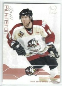 2008-09 Bakersfield Condors (ECHL) Brett Pilkington