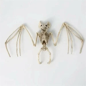 2025 Mini Animal Skeletons – Bat Bone Models for Creepy Halloween Decor & Haunte - Picture 1 of 7