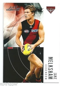 2012 Eternity (63) Jake MELKSHAM Essendon - Picture 1 of 1