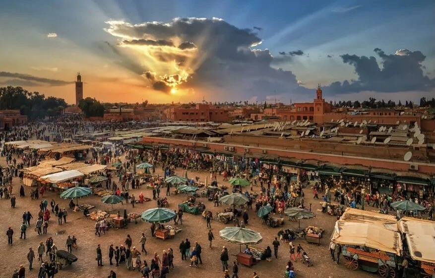 Marrakesh Fragrance Oil #255 - Image 1 of 1