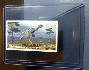 2015 Upper Deck Dinosaurs Canvas Mini Caudipteryx #43 Trading Card - Bild 1 von 2