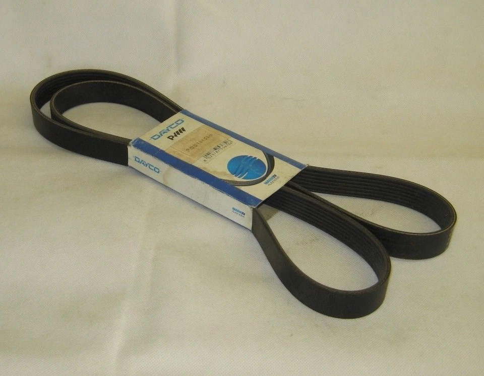 Land Rover Discovery 2 L318 TD5 con correa de transmisión alternador ACE Dayco PQS101520 Foto 1 de 1