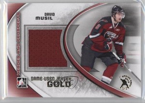 2011 ITG Heroes and Prospects Gold Jersey Spring Expo 1/1 David Musil #M-49 2a8