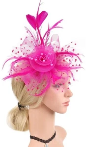 Rosa Feder Netz Fascinator Hut Haarspange Stirnband Hochzeit Tee Cocktail Party - Bild 1 von 5