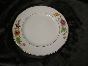 VINTAGE ALBRIGHT CHINA 9" DINNER PLATES, VERY RARE AND HARD TO FIND, GOOD - Picture 1 of 2