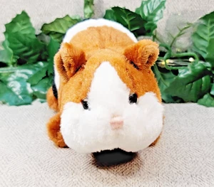 Ganz Webkinz HM361 Guinea Pig plush stuffed animal. NO CODE. - Picture 1 of 7