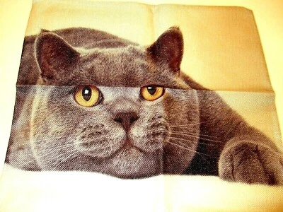 Square Cotton Canvas Plump Gray Cat Pillow Cover 17" x 17" NEW (#91) - Image 1 of 4