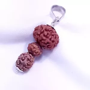 8, 6, 4 perline Mukhi Java Rudraksha combinazione con ciondolo argento - Foto 1 di 4