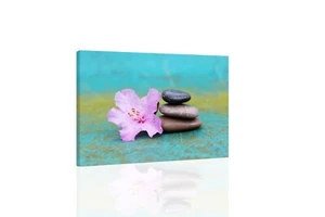Azalea And Balance - CANVAS OR PRINT WALL ART - Picture 1 of 2