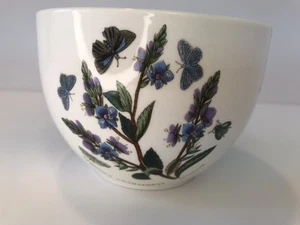 Ciotola per peperoncino giardino botanico Portmeirion Veronica Chamaedrys - Foto 1 di 4