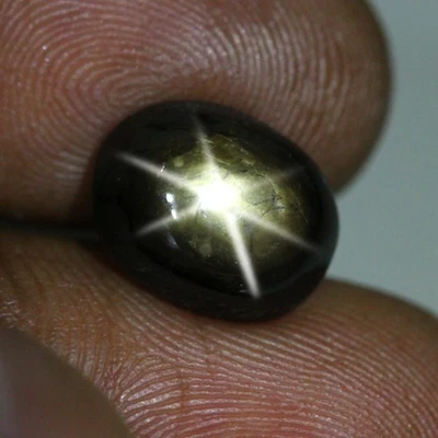 6.05 Cts_Loose Gemstone_100 % Natural Unheated Golden Black Star Sapphire - Image 1 of 3