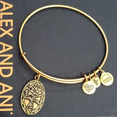 Pulseira Berloque Amigo Alex and Ani - Imagem 1 de 4