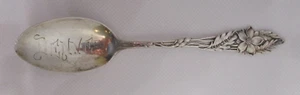 STERLINGSILBER SOUVENIR LÖFFEL DENVER COLORADO SCHALE COLUMBINE BLUME von Watson - Bild 1 von 4