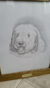 Nigel Hemming Original Bleistiftzeichnung - Hundeportrait - Bild 1 von 6