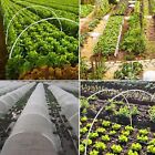 Garden Hoops: Versatile Structures for Allotments and Greenhouses (30PCS)