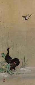 HANGING SCROLL JAPANESE PAINTING JAPAN BIRD PLANT ANTIQUE Original PICTURE 700n - Picture 1 of 12