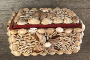 Vintage Muschel Schmuck Schmuckkästchen Strand Ozean Deko Maritim Volkskunst - Bild 1 von 15