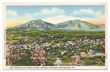 Lynchburg Roanoke Virginia Vintage Postcard Bedford Peaks