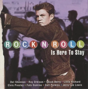 Rock N Roll Is Here To Stay 20 Songs Various Artists (Rock Music Audio CD) - Picture 1 of 1
