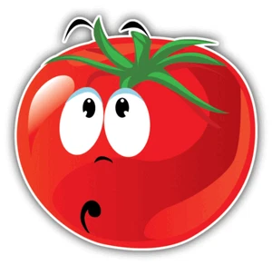 Funny Cartoon Tomato Smile Confused Exspression Car Bumper Sticker Decal - Imagen 1 de 1