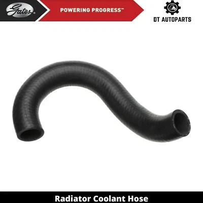 Manguera de refrigerante de radiador de gas 2,4 L L4 2003-2005 puertas inferiores 2004 Honda Element Foto 1 de 4