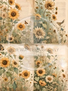 Sunflower Dreams Quad | A4 Rice Paper | Paper for Decoupage | Decoupage Central - Photo 1 sur 1