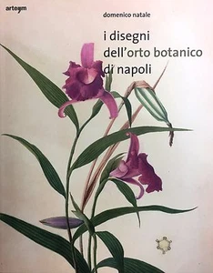 (Botanica) D. Natale - I DISEGNI DELL'ORTO BOTANICO DI NAPOLI - Arte,m 2016 - Imagen 1 de 1