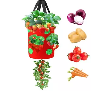 5 Gallons Hanging Planting Grow Bags Garden Upside Down Planter Strawberry To... - Picture 1 of 7