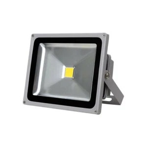 FARO 50 W LED LUCE BIANCA FARETTO PROIETTORE DA INTERNO ESTERNO GIARDINO - Imagen 1 de 1