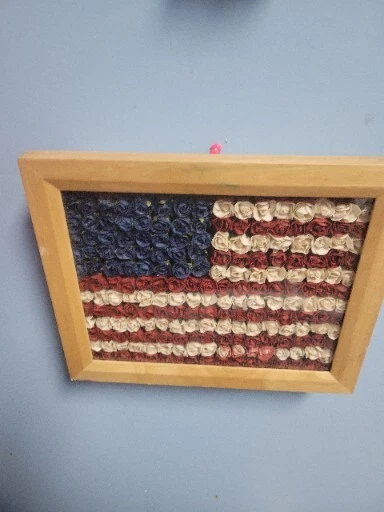 Caja de sombras con bandera americana de seda floral enmarcada conmemorativa con arte de pared efecto 3D 9"  Foto 1 de 4