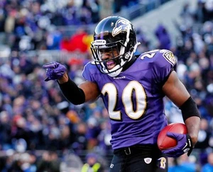 Baltimore Ravens Ed Reed 8x10 Photo NFL Football Print #4 - Picture 1 of 1