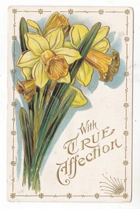 1909 HADDAM KANSAS TRUE AFFECTION LILYS VINTAGE POSTCARD KS LAURA JOHNSON BERTHA - Picture 1 of 2