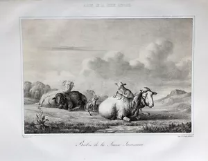 Schweiz Suisse Kanton Jura Schaf Lamm Sheep Brebis Wolle Weide Hirte Shepherd - Bild 1 von 1