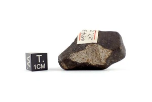 Juancheng Meteorite - Chondrite H5 - 27.3 g - Observed fall - Zdjęcie 1 z 7