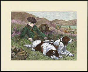 ENGLISCHER SPRINGER SPANIEL UND SCHOTTEN LAD HUNDEDRUCK MONTIERT RAHMENFERTIG - Bild 1 von 1