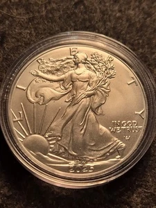2025 1 Oz American Silver Eagle Bullion Coin In Capsule from the U.S. Mint. .999 - Picture 1 of 2