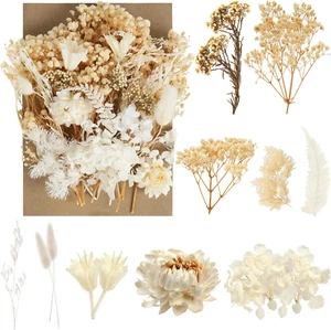 Natürliche getrocknte Blumen, Trockenblumen Zum Basteln, Getrocknete Blumen, Tro - Bild 1 von 7