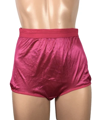 DE COLECCIÓN 1980 REFUERZO DE SETAS ABUELA NAILON BRAGAS ENCAJE TRANSPARENTE Rosa Caliente 7 NUEVO Foto 1 de 4