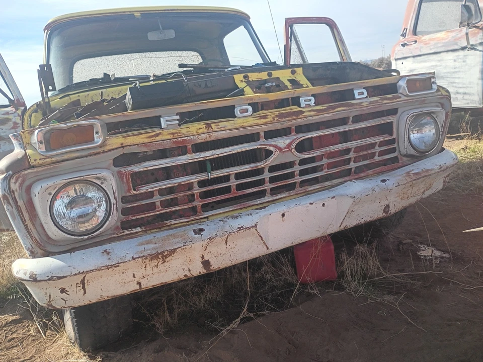 Ford F100 1966 parrilla OEM USADO pieza original Ford vintage Foto 1 de 1