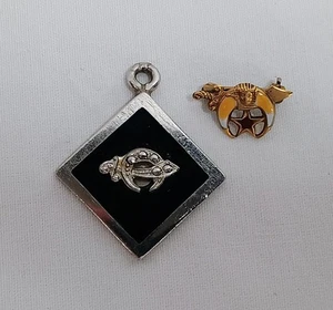 Vintage Masonic Shriner Pendant Pin Lot - Picture 1 of 4