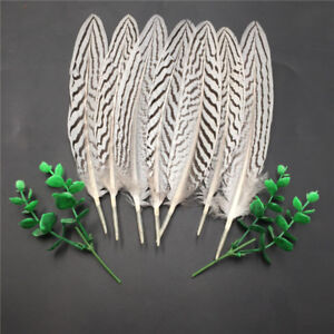 Beautiful silver chicken wings feathers 7-9 inches / 18-22 cm 10-100pcs