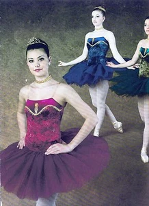  Gold Gilded Short Ballet Costume Graduated Tutu Velvet w/accessories 3 colors - Picture 1 of 8