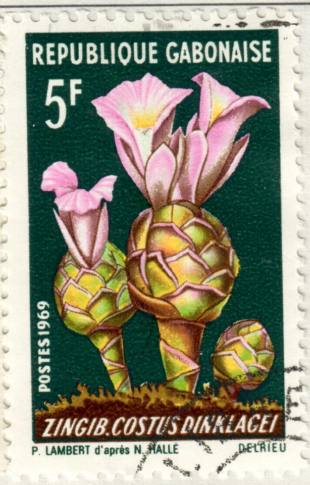 Gabón - Flores 1969 Foto 1 de 1