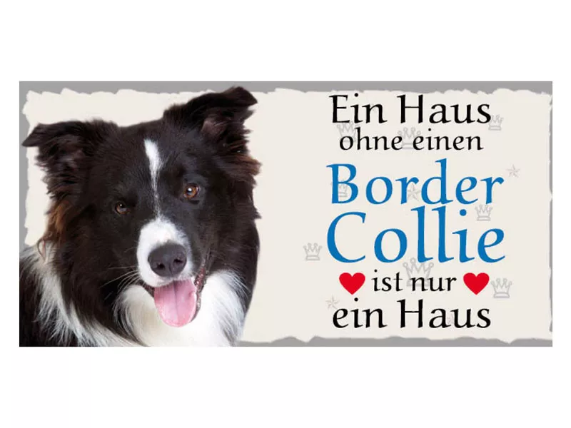 Türschild Border Collie Tierschild Hund aus Holz Holzschild Wandschild (30008-9) - Bild 1 von 1