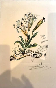 Salvatore Dali, Lithografie originale vom Museum in Cadaques mit Signatur Dali - Bild 1 von 6