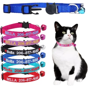 Personalisiertes Katzenhalsband Kätzchen Welpe bestickt Name Ausweisschild verstellbar und Glocke - Bild 1 von 8