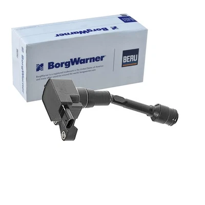 Beru Borgwarner Encendido Apto para Ford B-Max C-Max Ecosport Fiesta Focus Gra - Imagen 1 de 2