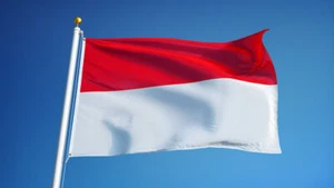 NUEVA BANDERA DE INDONESIA 3x5 pies calidad superior desvanecimiento resistir vendedor de Estados Unidos - Imagen 1 de 3